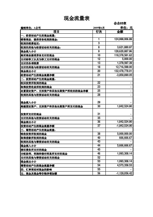 现金流量表模板-现金流量表范表