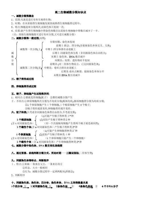 减数分裂知识点总结