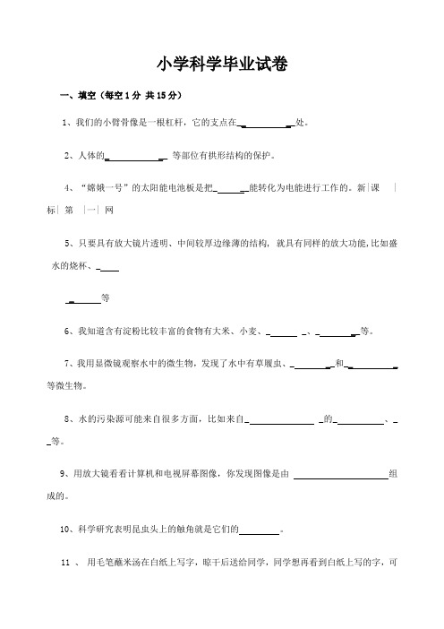 教科版小学科学毕业考试题及答案