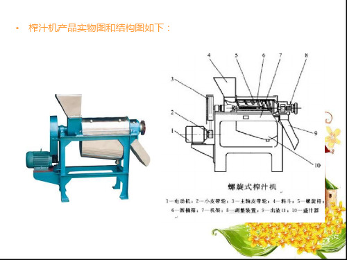 螺旋榨汁机的设计PPT答辩稿