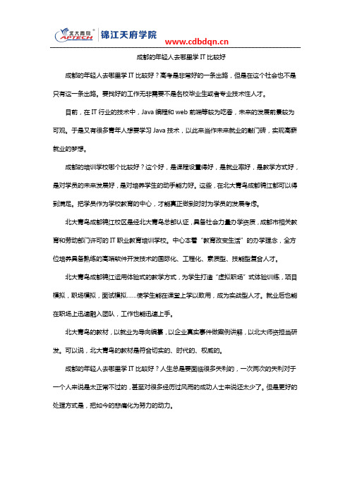 成都的年轻人去哪里学IT比较好