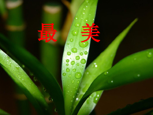 作文讲评-----最美