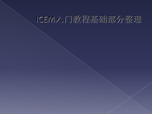 ICEM入门教程基础部分整理