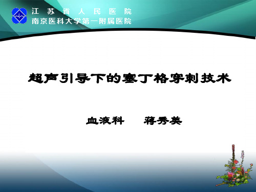 超声引导下的塞丁格穿刺技术