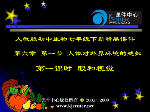 人体对外界环境的感知（第一课时眼和视觉）课件