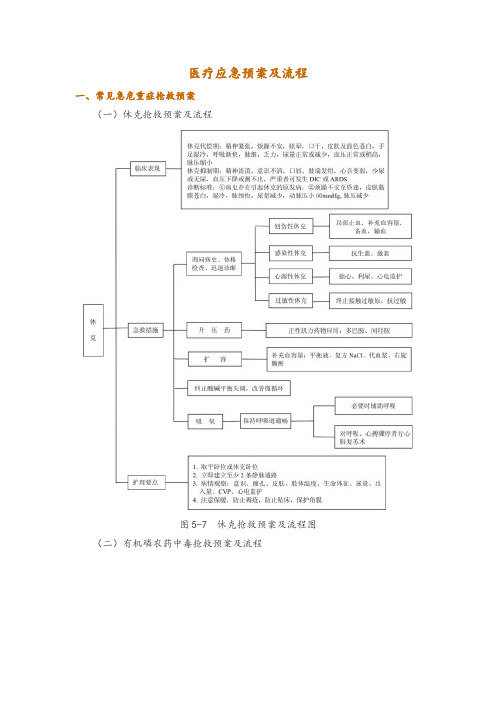 医疗应急预案及流程