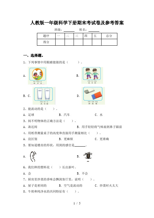 人教版一年级科学下册期末考试卷及参考答案