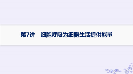 2025届高考生物一轮复习课件浙江专版第2单元细胞的代谢第7讲细胞呼吸为细胞生活提供能量+