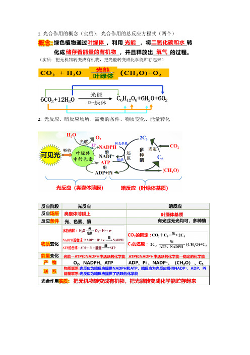 光合作用必会知识点