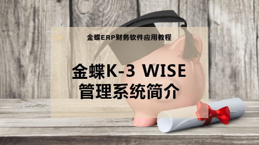 金蝶K-3-WISE管理系统简介