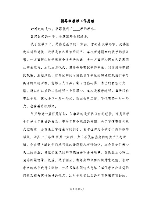 辅导班教师工作总结（2篇）