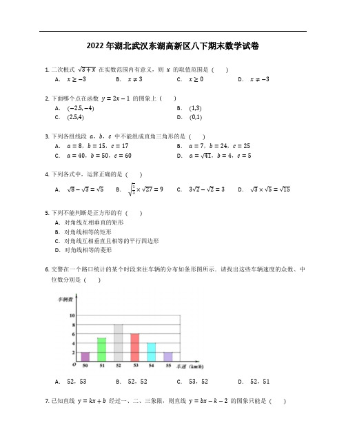 2022年湖北武汉东湖高新区八年级下学期期末数学试卷(含答案)