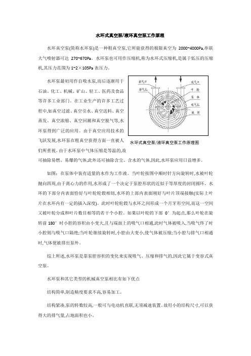 水环式真空泵