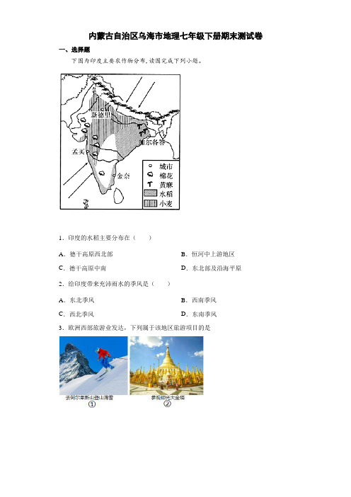 内蒙古自治区乌海市地理七年级下册期末测试卷2(解析版)