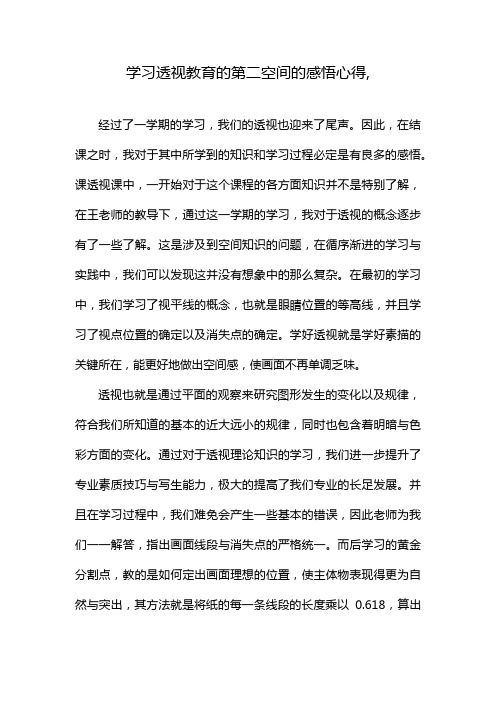 学习透视教育的第二空间的感悟心得,