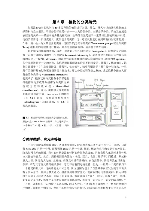 第6章  植物分类的阶元系统