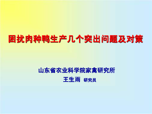 困扰肉种鸭生产几个突出问题及对策