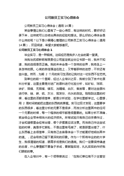 公司新员工实习心得体会（通用14篇）