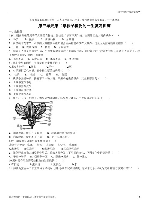 人教版七年级上册生物第三单元第二章被子植物的一生复习训练(含答案)