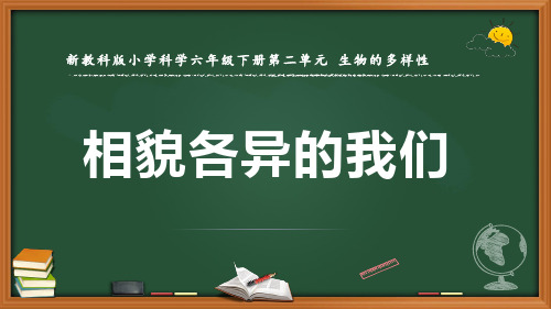 新教科版科学六年级下册《相貌各异的我们》优质课件