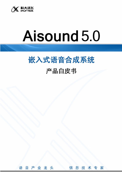 科大讯飞--Aisound 5.0产品白皮书