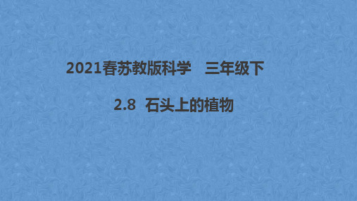 2021春苏教版科学三年级下册 2.8《石头上的植物》课件