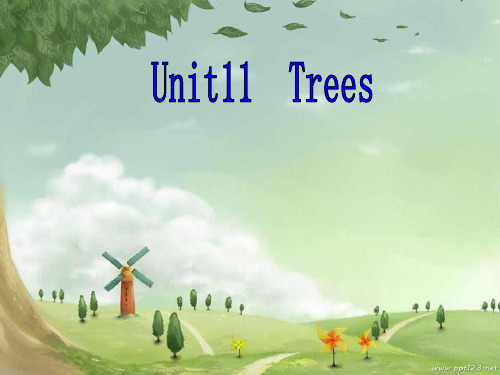 沪教版三年级起点六年级上册英语《Module 4 The natural world 11 Trees 》(一等奖课件) (1)