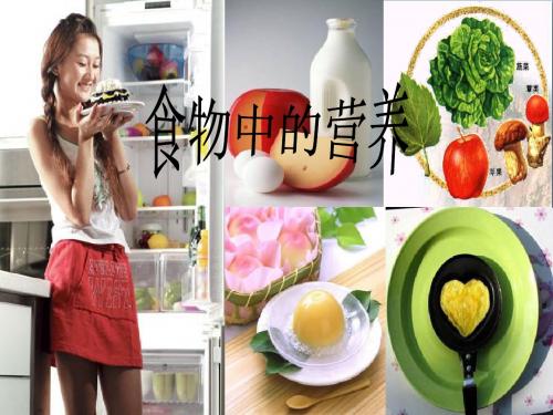 六年级科学上册2.1食物中的营养 PPT精品课件1湘教版