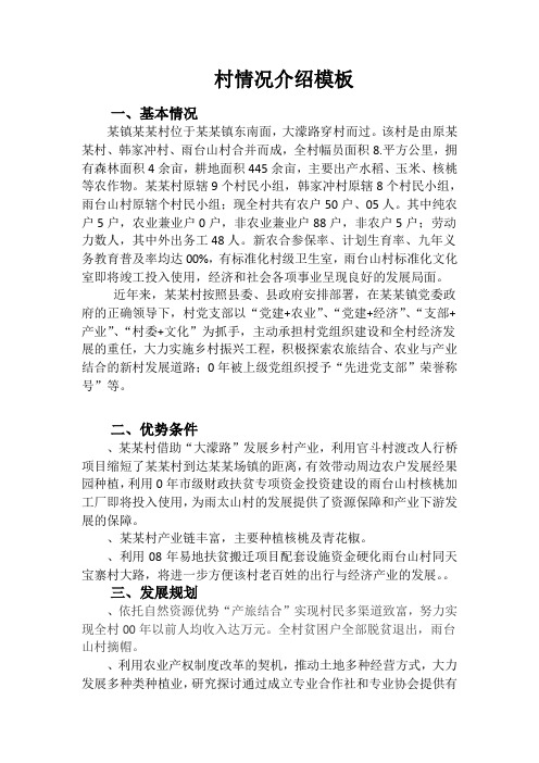 村情况介绍模板