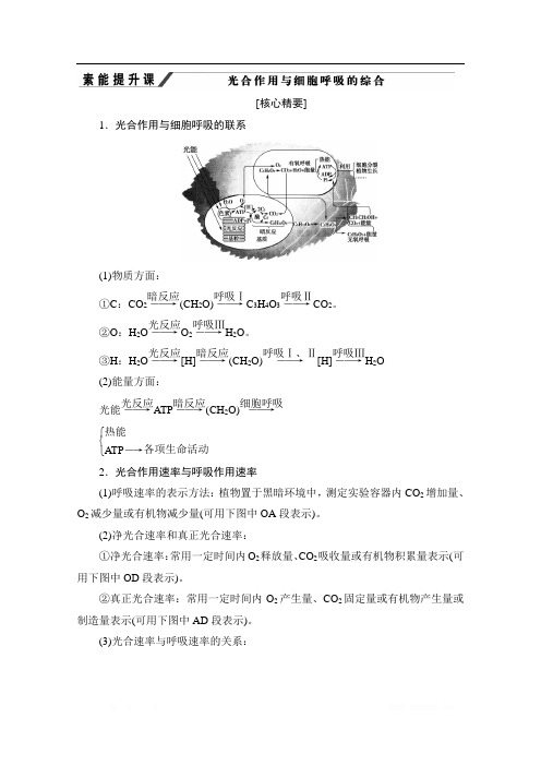 2019-2020学年人教版生物必修一讲义：第5章 素能提升课 光合作用与细胞呼吸的综合 