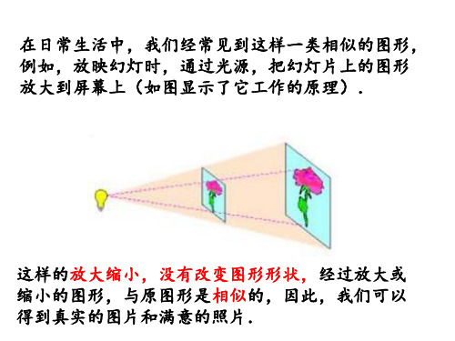 华东师大版九年级数学上第23章图形的相似 23.5位似图形课件(21PPT)