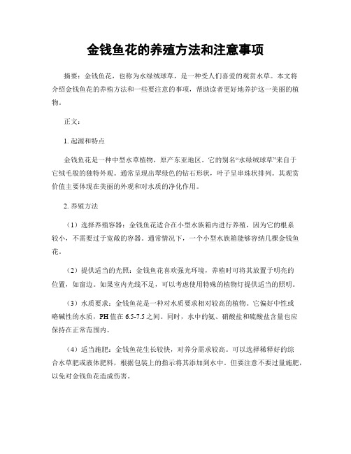 金钱鱼花的养殖方法和注意事项