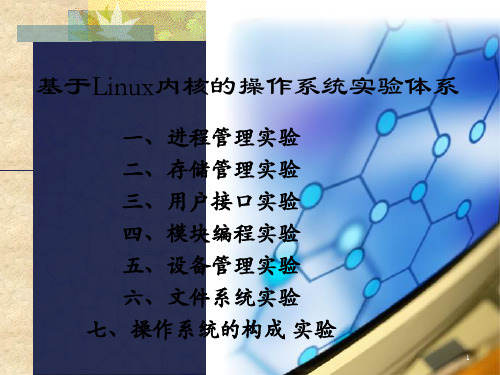 [工学]基于Linux内核的操作系统实验体系