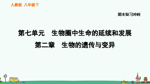 人教八年级生物下册《生物的遗传与变异》期末复习知识汇总