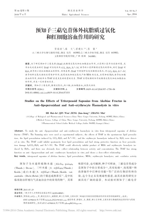 预知子三萜皂苷体外抗脂质过氧化和红细胞溶血作用的研究_贺海波