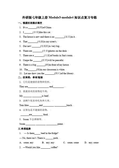 _2023年外研版英语中考一轮复习外研版七年级上册  Module 3-module4知识点复习专练