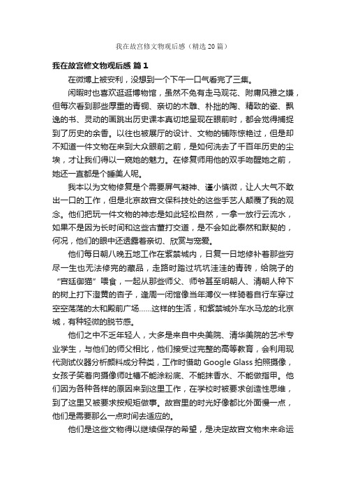 我在故宫修文物观后感（精选20篇）