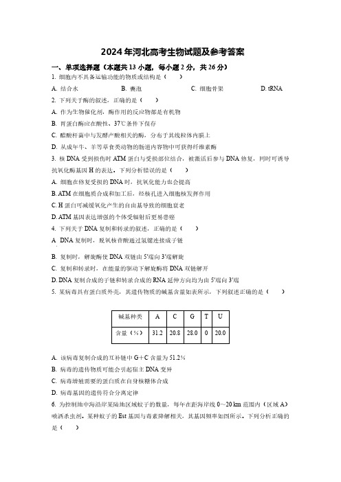 2024年河北生物高考试题及答案