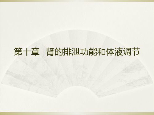 基础医学肾的排泄功能和体液调节