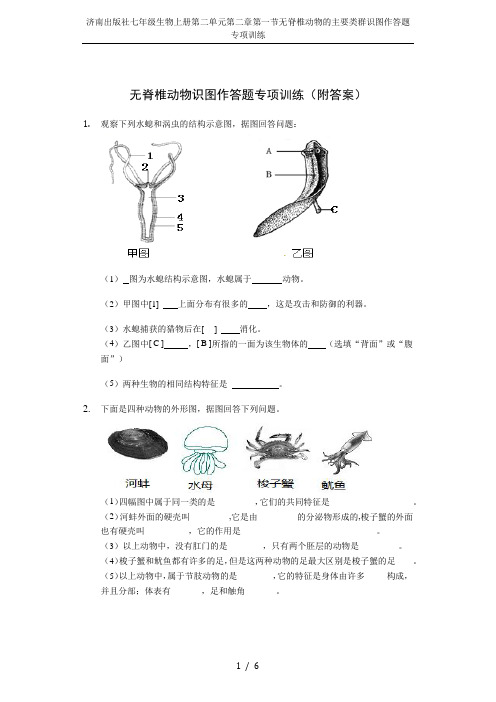 济南出版社七年级生物上册第二单元第二章第一节无脊椎动物的主要类群识图作答题专项训练