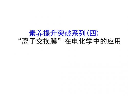 2019届一轮复习人教版 素养提升突破系列——“离子交换膜”在电化学中的应用 课件(31张)