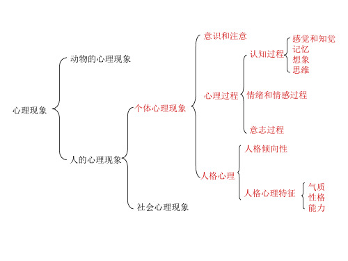 心理学基础复习提纲_PPT幻灯片