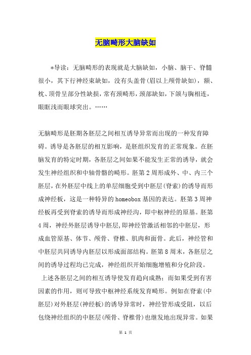无脑畸形大脑缺如