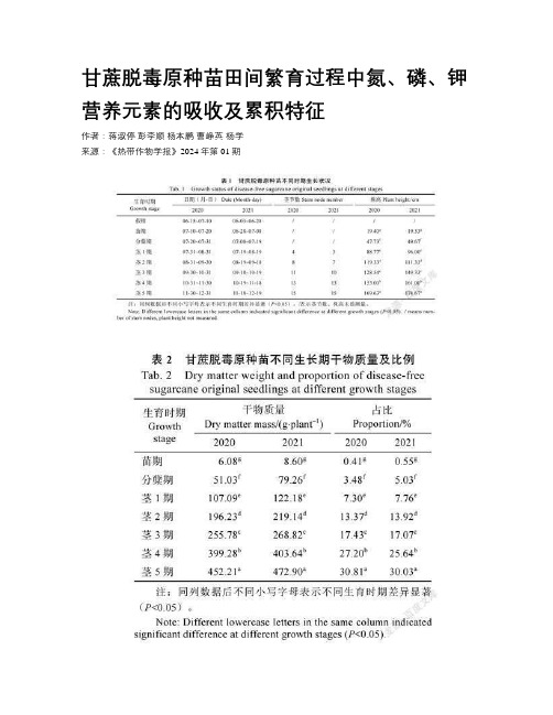 甘蔗脱毒原种苗田间繁育过程中氮、磷、钾营养元素的吸收及累积特征