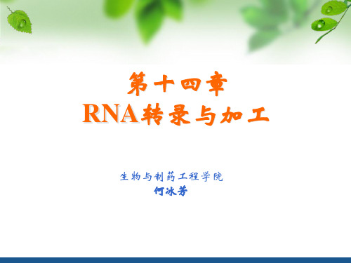 RNA转录与调控14