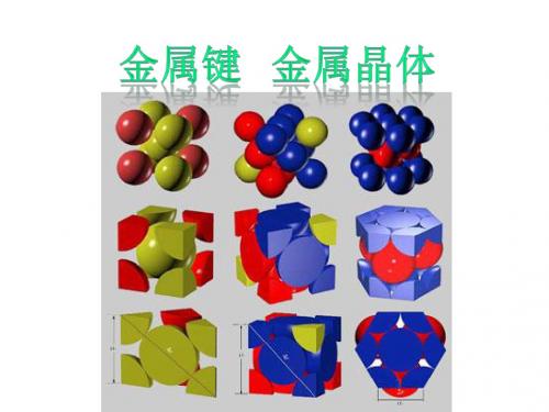 苏教版高三化学课件物质结构与性质金属键 金属晶体