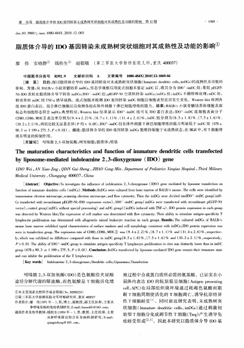 脂质体介导的IDO基因转染未成熟树突状细胞对其成熟性及功能的影响