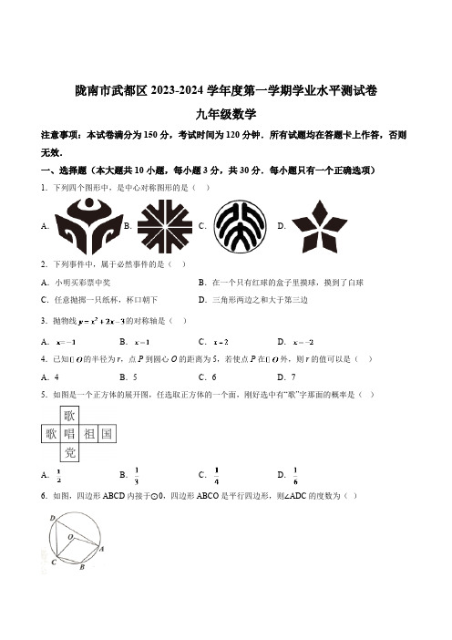 甘肃省陇南市武都区2024届九年级上学期期末学业水平测试数学试卷(含解析)