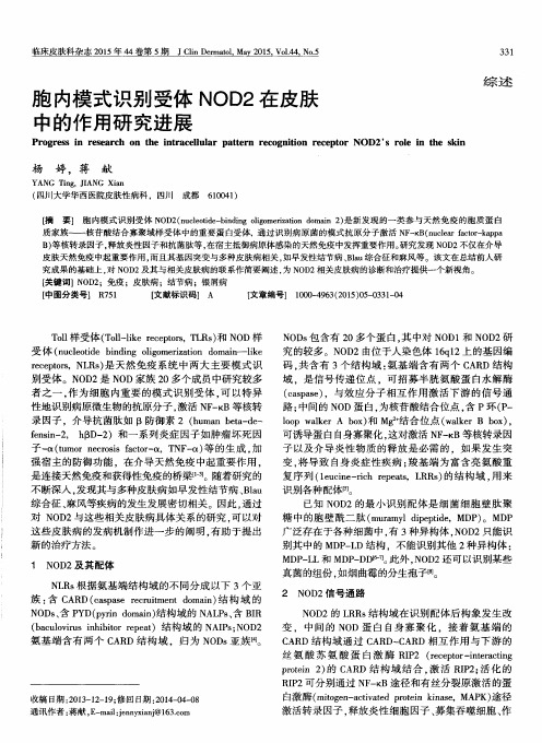 胞内模式识别受体NOD2在皮肤中的作用研究进展