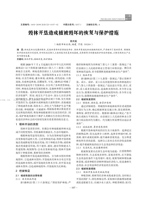 毁林开垦造成植被毁坏的恢复与保护措施